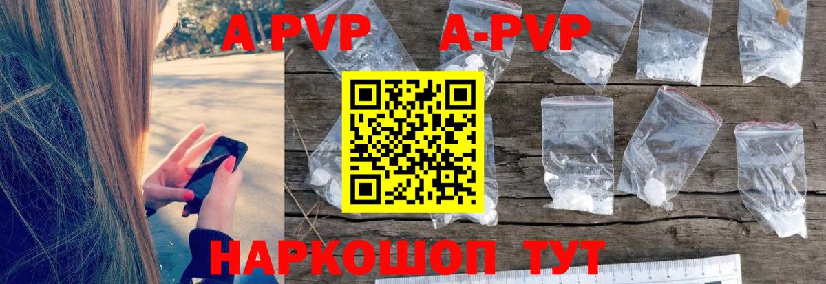 A-PVP СК КРИС Гусев