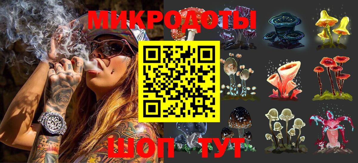 Галлюциногенные грибы Cubensis  Вход с VPN  как найти наркотики  Псилоцибиновые грибы прущие грибы  Гусев 