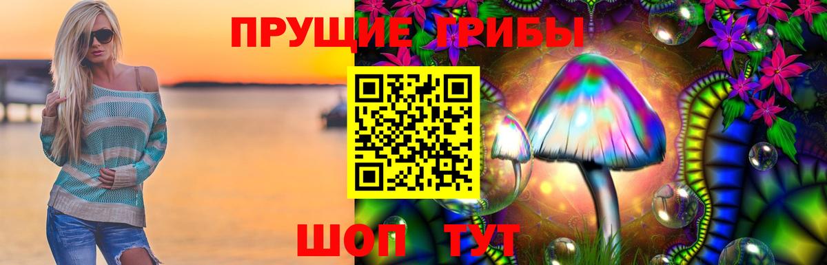 Галлюциногенные грибы прущие грибы Гусев